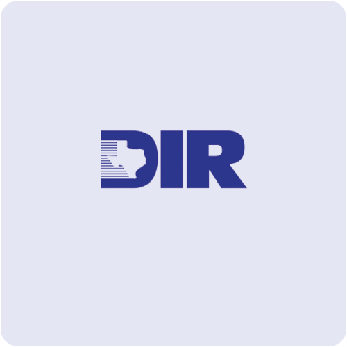 Texas DIR-1