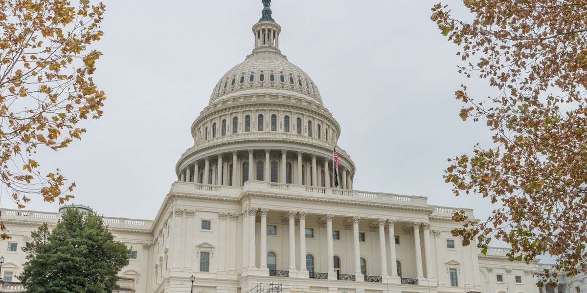 An Image of the US Capitol Building